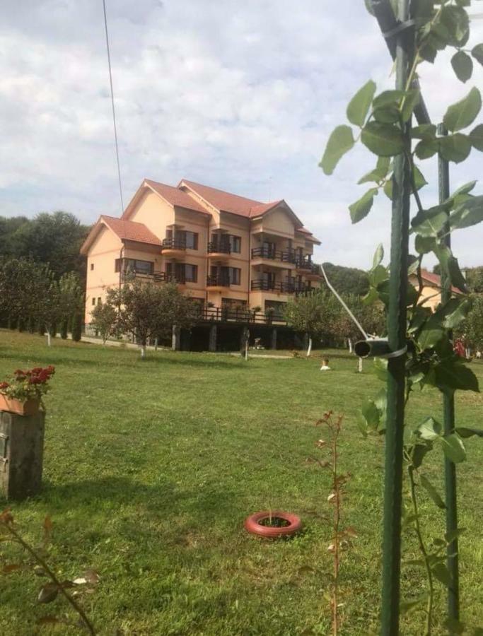 Pensiunea " La Papa" Huta Certeze المظهر الخارجي الصورة